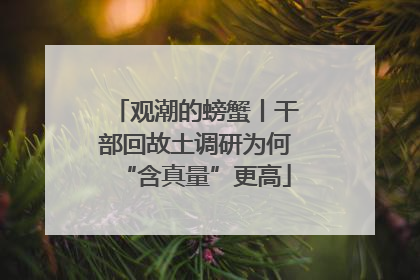 观潮的螃蟹丨干部回故土调研为何“含真量”更高